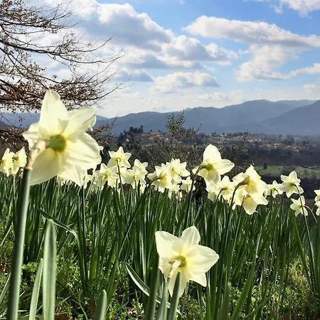 Charming In With Enclosed Garden And Fireplace Βίλα *