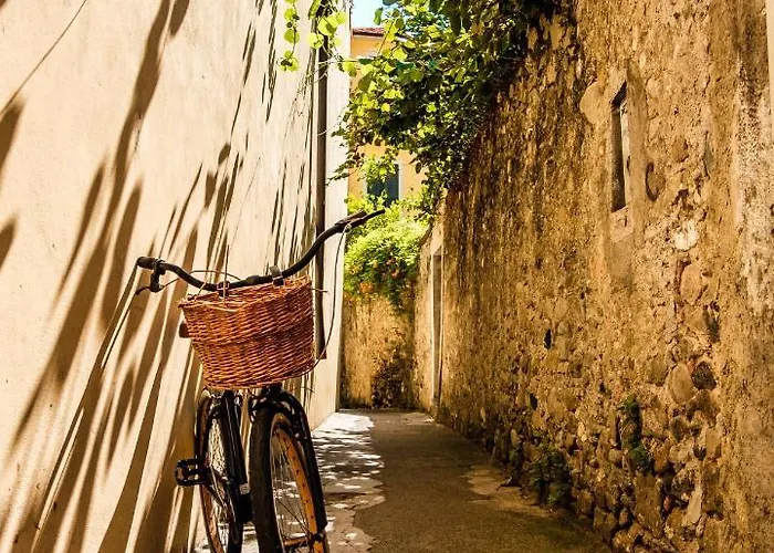 Charming In With Enclosed Garden And Fireplace * Barga