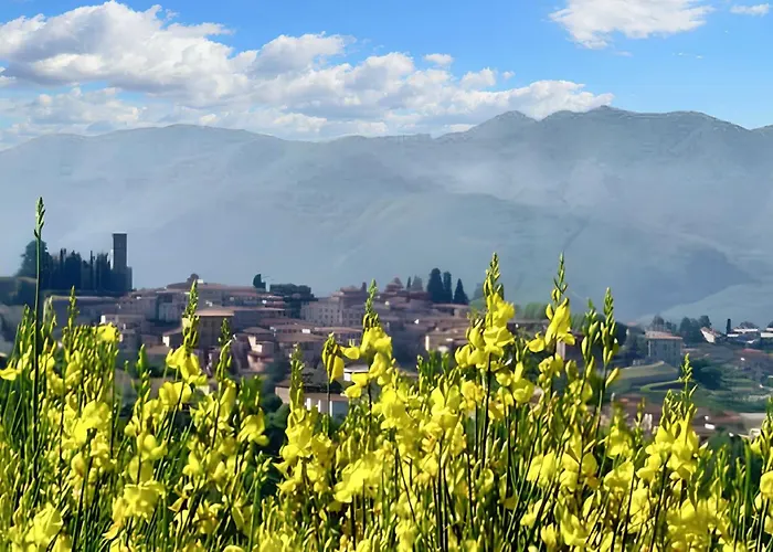 Charming In With Enclosed Garden And Fireplace *