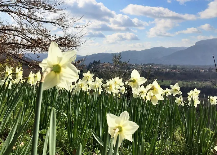 Charming In With Enclosed Garden And Fireplace Βίλα *